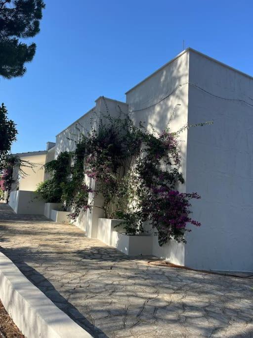 Villa Bouganville 2 オストゥーニ エクステリア 写真