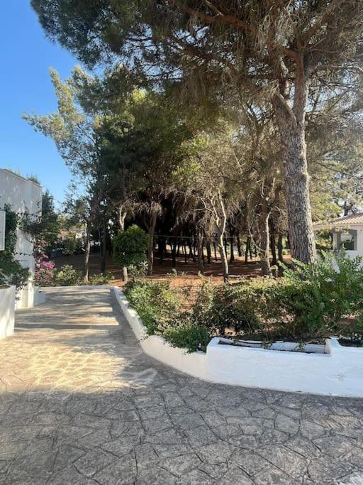 Villa Bouganville 2 オストゥーニ エクステリア 写真